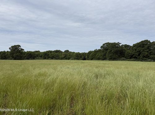 813 Holmesville Rd, Jayess, MS, 39641-3796 | Card Image