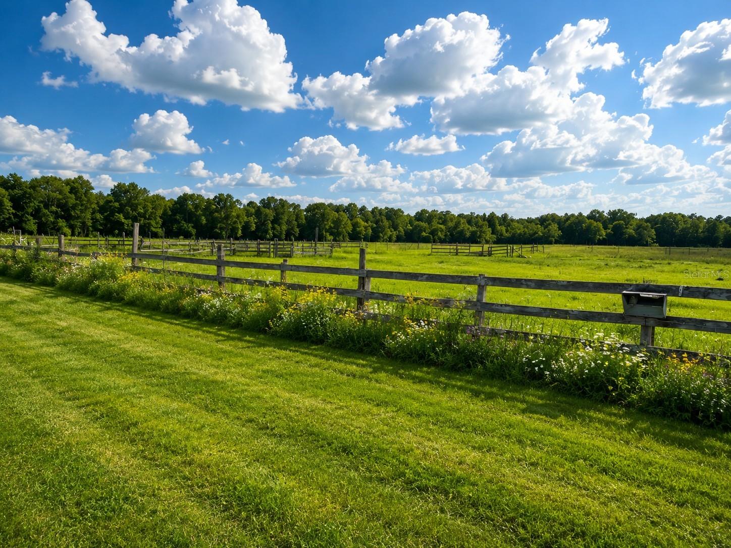 Residential Lease in DAVENPORT 5