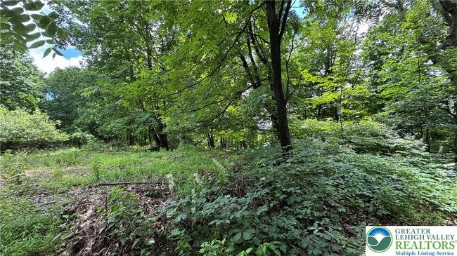 305 Shawnee Ave, House other with 0 bedrooms, 0 bathrooms and null parking in EASTON PA | Image 6