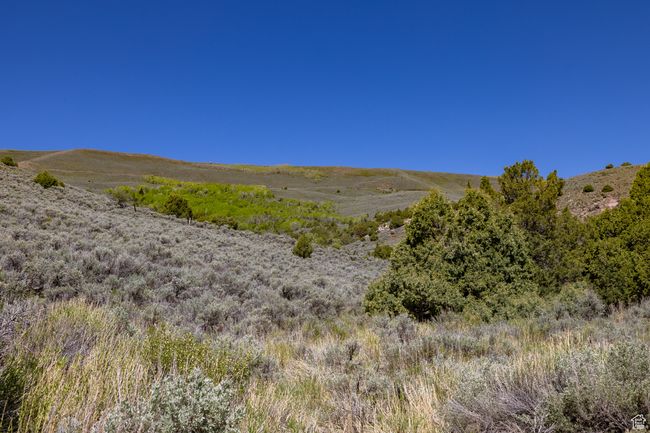 View of mountain backdrop | Image 15