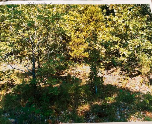 TBD Wahoo Dr, Cherokee Village, AR, 72529 | Card Image