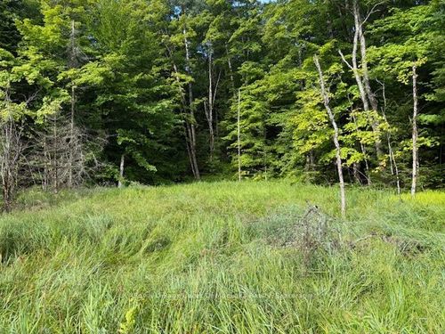 1788 Old Muskoka Rd, Utterson, ON, P0B1M0 | Card Image