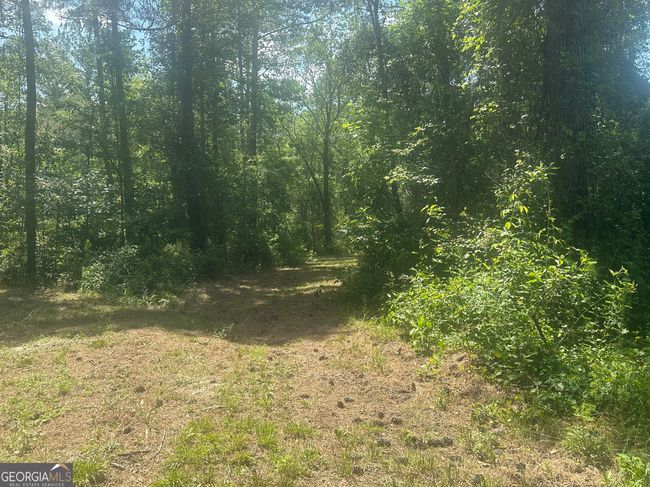 925 Cleary Rd, House other with 3 bedrooms, 2 bathrooms and null parking in Brooklet GA | Image 35