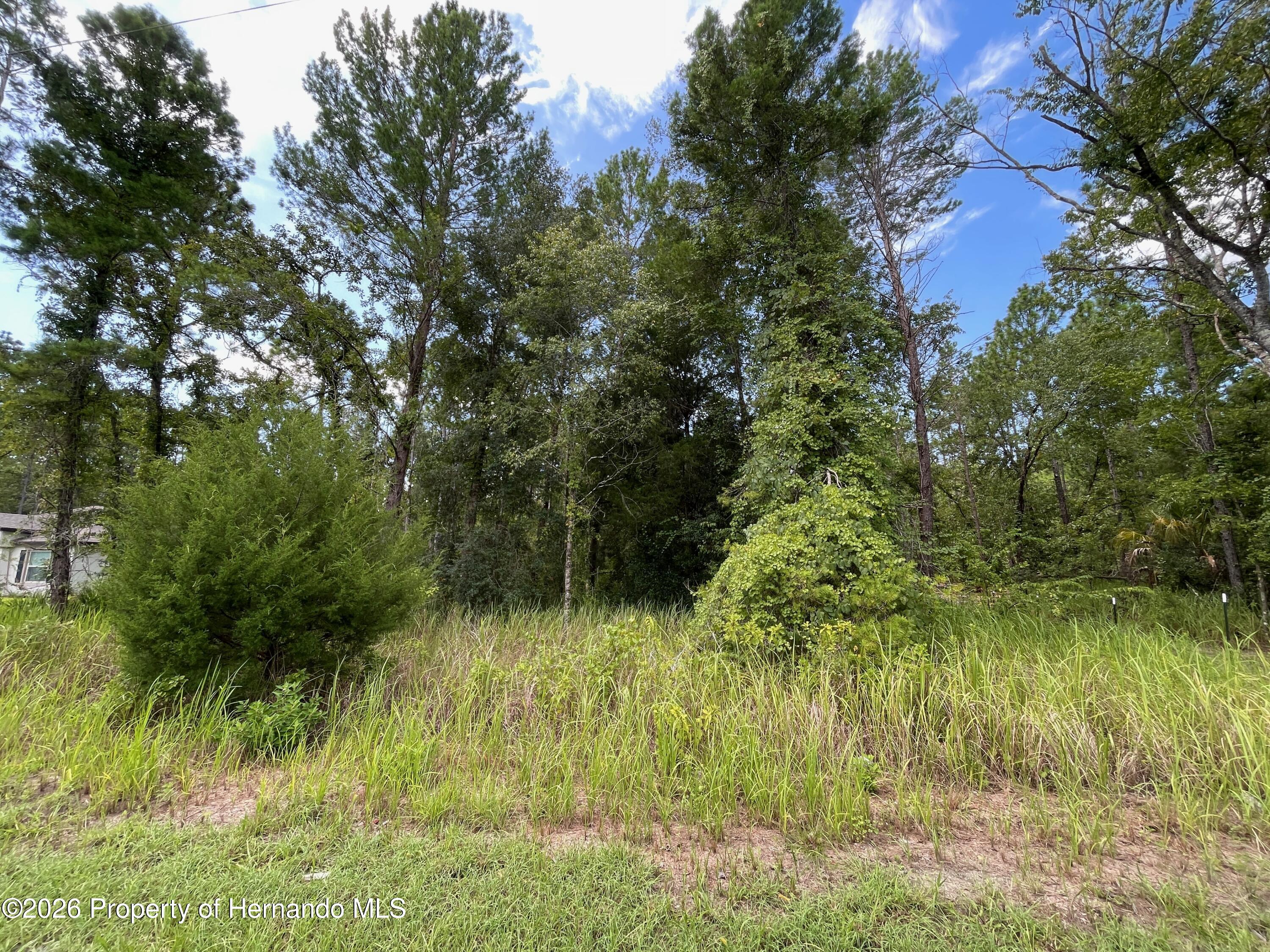 Land in Weeki Wachee 3