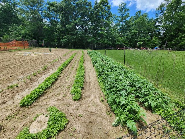 639 Dream Farm Rd., House other with 5 bedrooms, 4 bathrooms and 2 parking in Birchleaf VA | Image 60