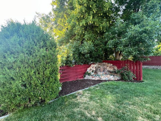 View of yard | Image 8