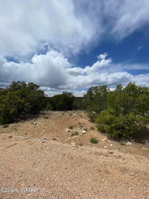 9 County Road 3045, Concho, AZ, 85924 | Card Image