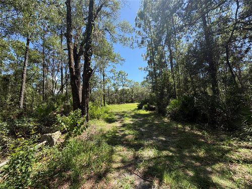 394 N Florene Pt, CRYSTAL RIVER, FL, 34429-5617 | Card Image