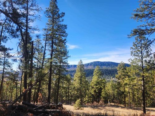 259 Deer Ridge Dr, Bayfield, CO, 81122-9418 | Card Image