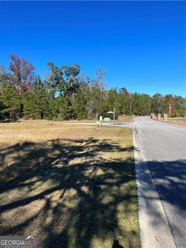LOT 48 Maiden Creek Dr, Home with 0 bedrooms, 0 bathrooms and null parking in Waverly GA | Image 13
