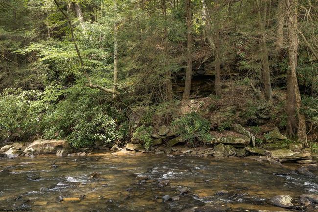 653 Watersound Trce, House other with 3 bedrooms, 3 bathrooms and 3 parking in Bruceton Mills WV | Image 35