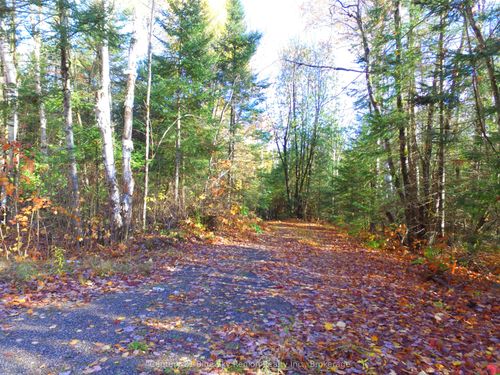 Pt Lt 2 Con 4 Mcfadden Line, Parry Sound Remote Area, ON, P0H2L0 | Card Image