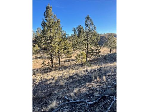 0 Tarryall St, Hartsel, CO, 80449 | Card Image