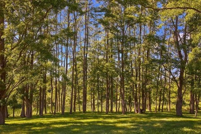 View of nature | Image 18