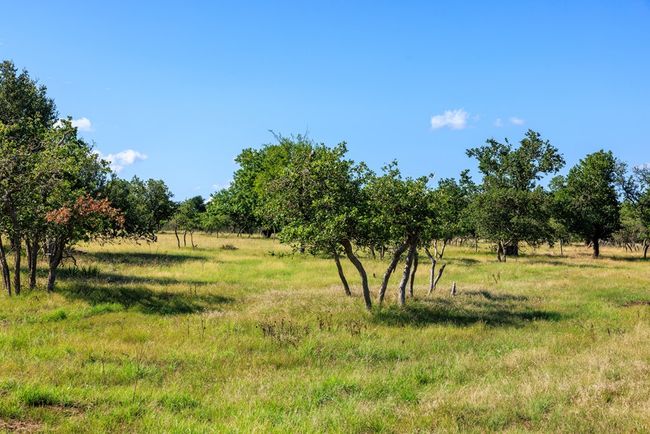 1 - 11470 N Us Highway 87, Home with 0 bedrooms, 0 bathrooms and null parking in Fredericksburg TX | Image 4