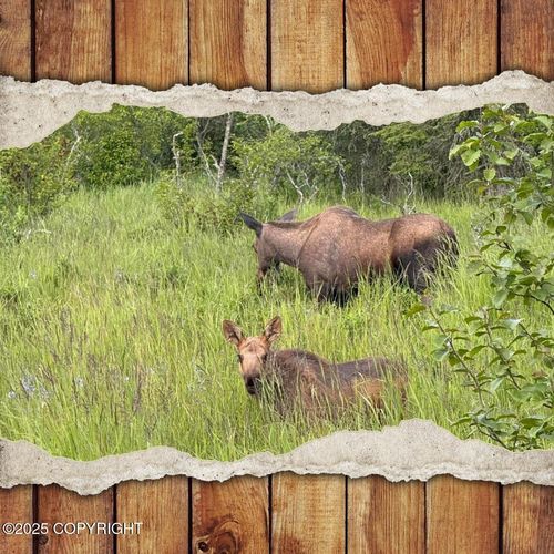 66307 Lathrop Park Dr, Ninilchik, AK, 99639-9626 | Card Image