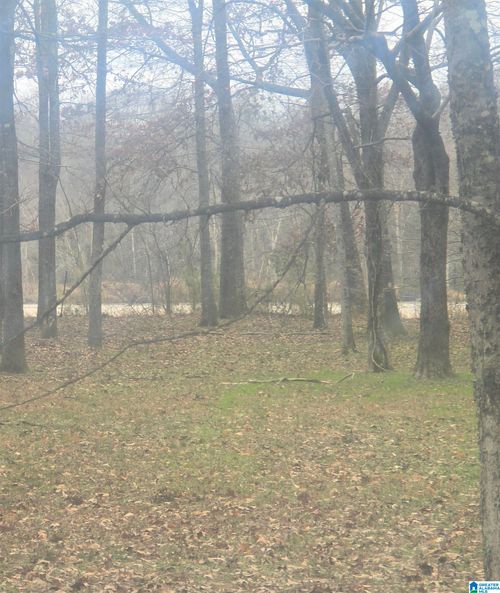 12-12 Cypress Point Dr, Akron, AL, 35441-2939 | Card Image