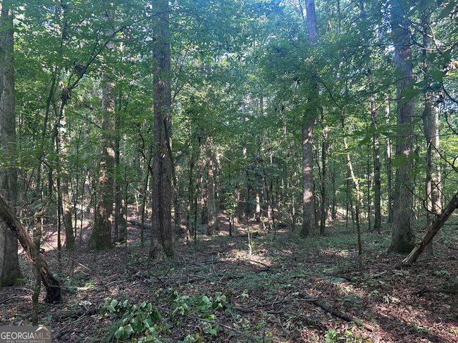 0 Highway 72 E, Home with 0 bedrooms, 0 bathrooms and null parking in Carlton GA | Image 11
