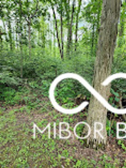 1301 N County Road 650 E, Selma, IN, 47383-9407 | Card Image