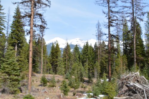 NHN Scenic Dr, Condon, MT, 59826 | Card Image