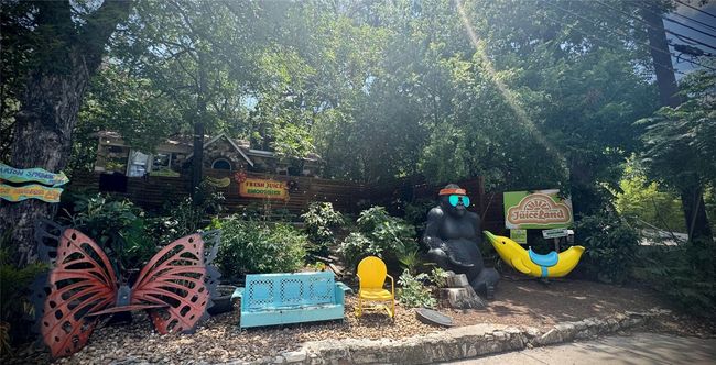 Grab a juice at Juice Land on Barton Springs Road! | Image 20