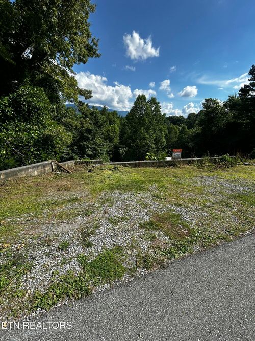 unit-d-545 Johnson Ln, Gatlinburg, TN, 37738-5901 | Card Image