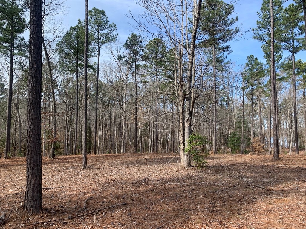Land in Macon 4
