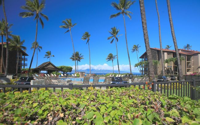 C107 - 3543 Lower Honoapiilani Rd, Condo with 0 bedrooms, 1 bathrooms and null parking in Lahaina HI | Image 31