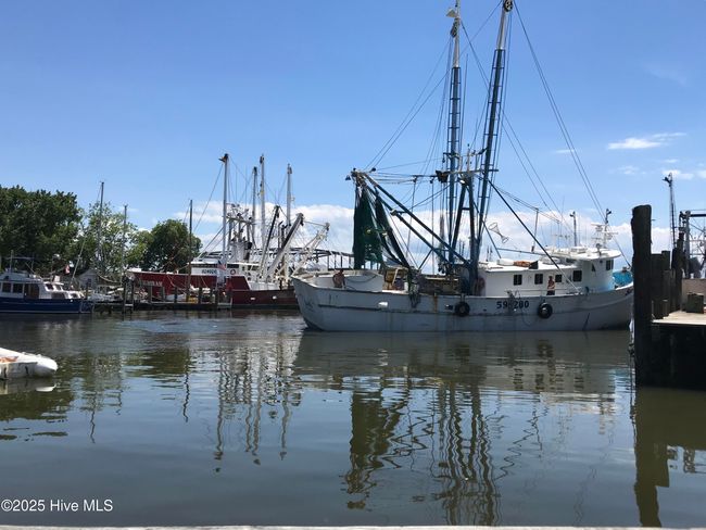 Town Harbor | Image 11