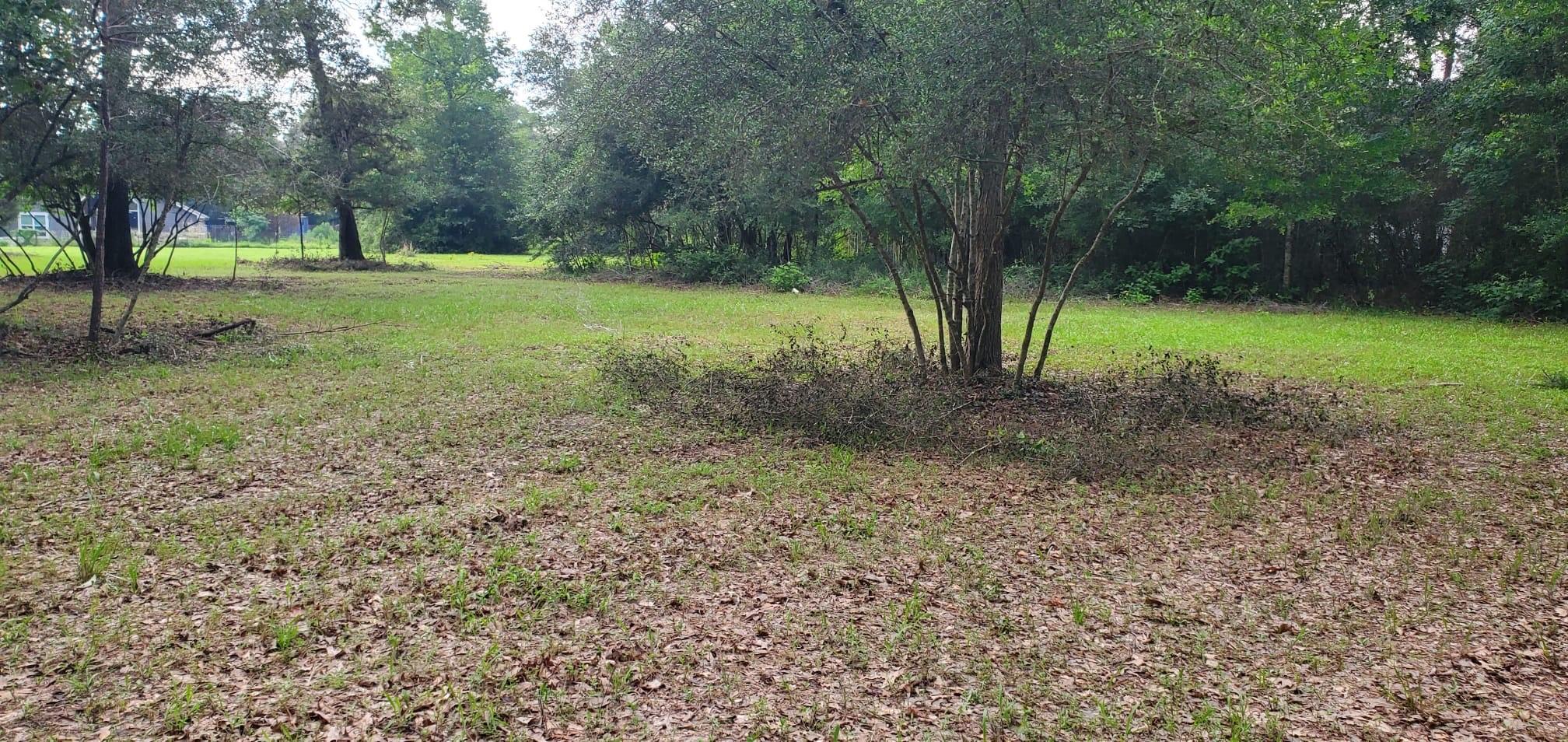 Land in Conroe 5