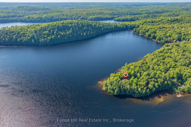 1089 Lutes Lane, House other with 4 bedrooms, 2 bathrooms and 6 parking in Dorset ON | Image 4