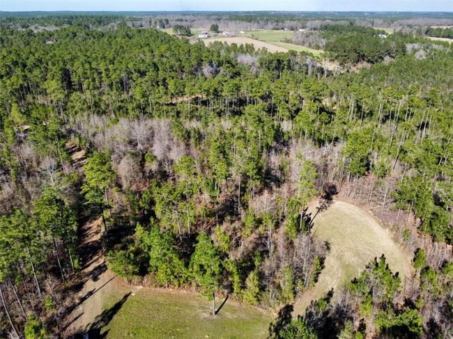 0 Robert White Rd, Home with 0 bedrooms, 0 bathrooms and null parking in Bay Minette AL | Image 28
