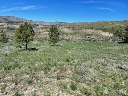 15 Sawtooth View Rd, Pateros, WA, 98846-9637 | Card Image