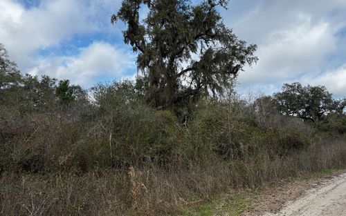 TBD 59th Dr, Wellborn, FL, 32094 | Card Image