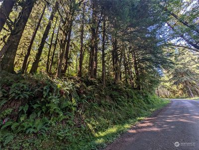 99991 Dowans Creek Road, Home with 0 bedrooms, 0 bathrooms and null parking in Forks WA | Image 1