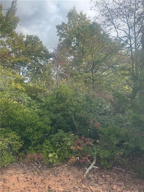Lot 16 Cathy Rd, Rabun Gap, GA, 30568 | Card Image