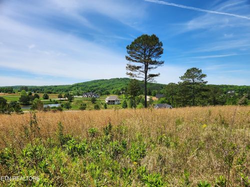 0 Oak Leaf Lot 71 Drive, Loudon, TN, 37774 | Card Image