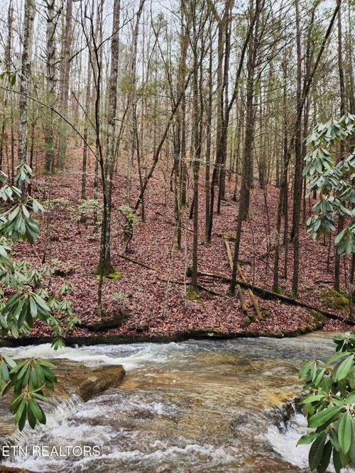 470 Bear Branch Rd, Wartburg, TN, 37887 | Card Image