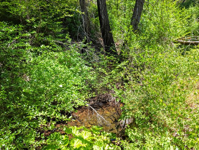 0000 E Fork Rd, Home with 0 bedrooms, 0 bathrooms and null parking in French Gulch CA | Image 73