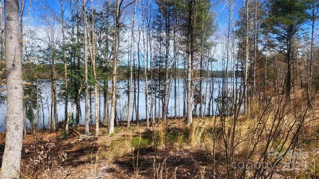 169 - 4083 Grays Peak Summit Summit, Home with 0 bedrooms, 0 bathrooms and null parking in Connelly Springs NC | Image 10