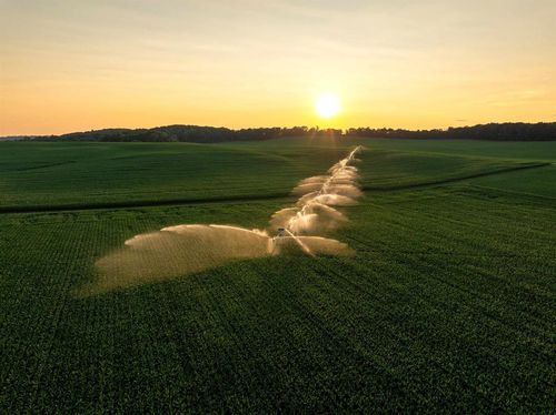 1, 120.44± Acres Land Auction, IOLA, WI, 54945 | Card Image