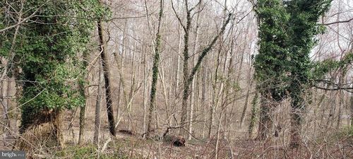 4200 Chesapeake Ave, CHESAPEAKE BEACH, MD, 20732-4130 | Card Image