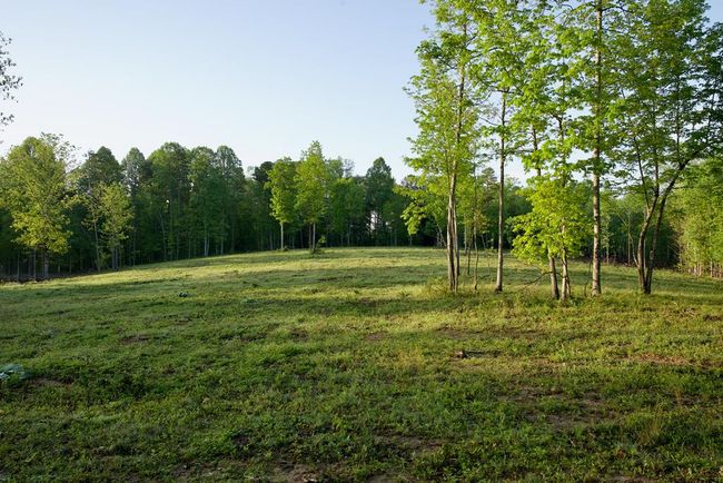 40.46AC Barker Cove Loop, Home with 1 bedrooms, 1 bathrooms and null parking in Palmer TN | Image 40