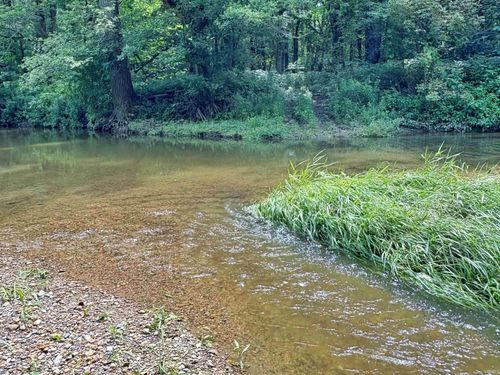 9243 W State Road 26, Rossville, IN, 46065-9768 | Card Image