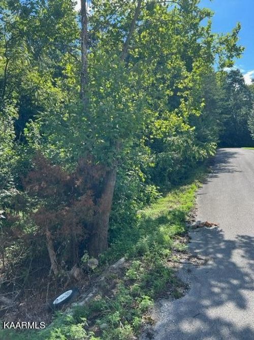 0 Forest Meadow Ln, New Tazewell, TN, 37825 | Card Image