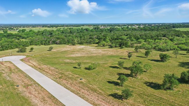 3036 Palermo Dr, Home with 0 bedrooms, 0 bathrooms and null parking in Brock TX | Image 4