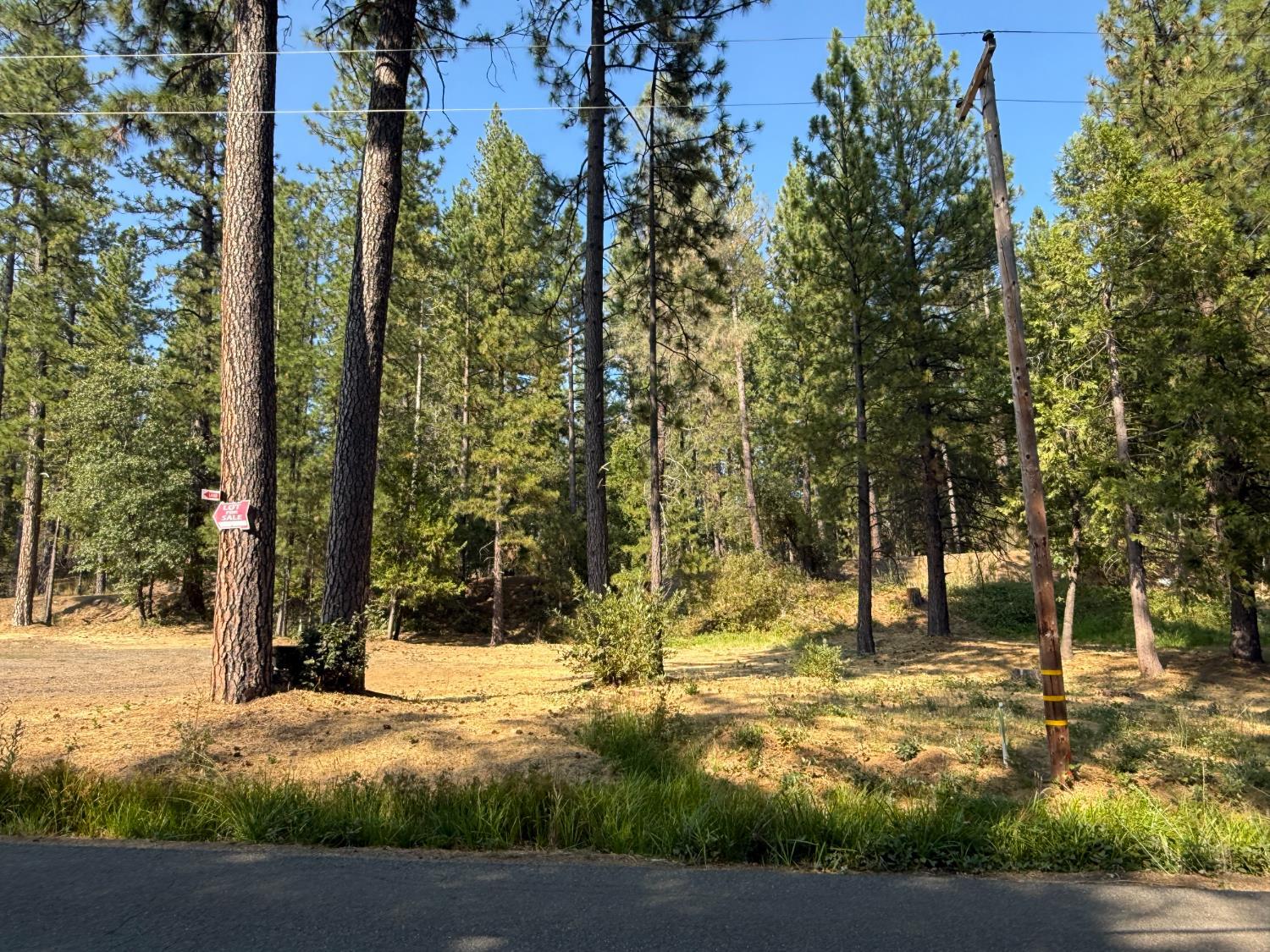 Land in Nevada City 2