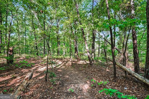 00 Ham Road, Jackson, GA, 30233 | Card Image