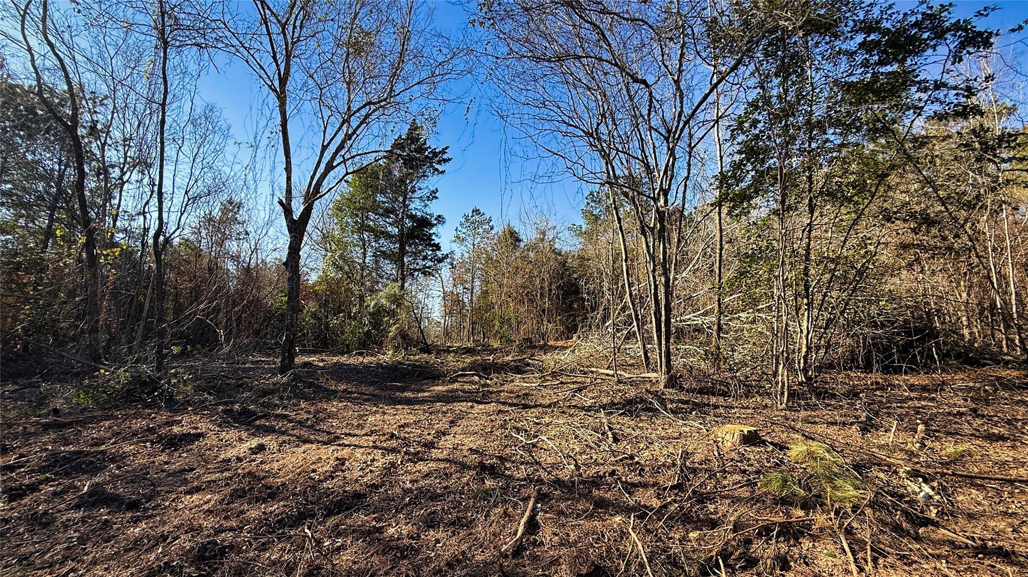 Land in Henderson 3