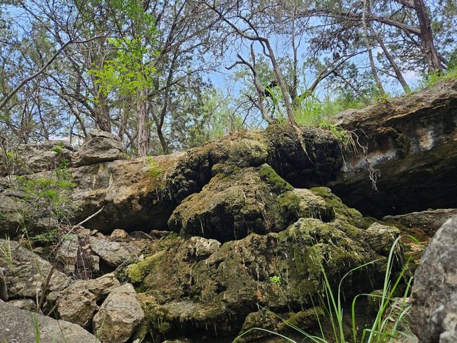 525 Soda Creek Rd, Home with 0 bedrooms, 0 bathrooms and null parking in Spicewood TX | Image 12